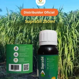 Inoculante microbiano de alta eficacia para ensilados de forrajes y granos húmedos