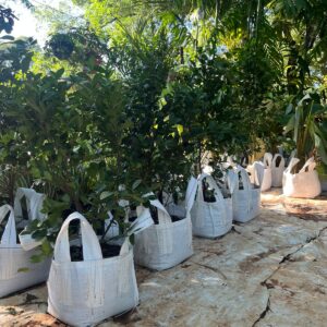 planteras de big bag